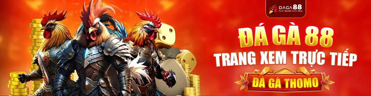 Hình ảnh giới thiệu chung về điều khoản dịch vụ sh888 bet